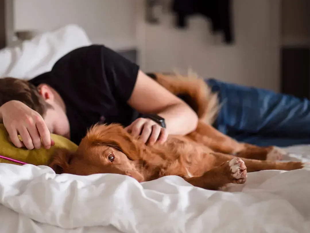 3. Prioritizing Quality Sleep (Image Credits: Unsplash)