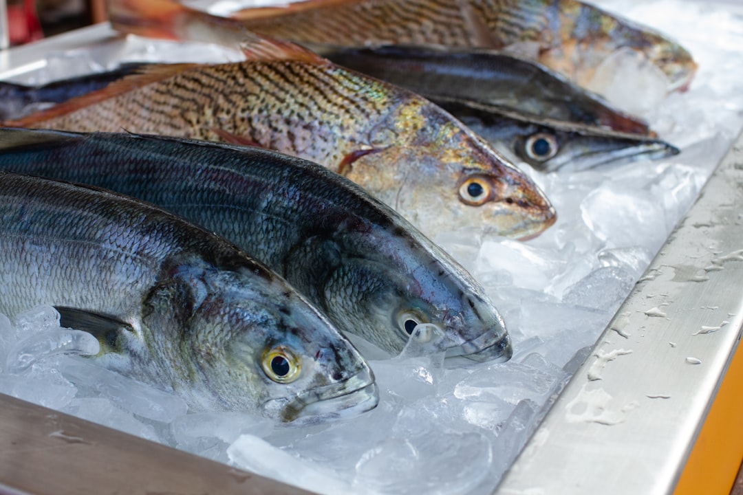 Monday Fish Specials (Image Credits: Unsplash)