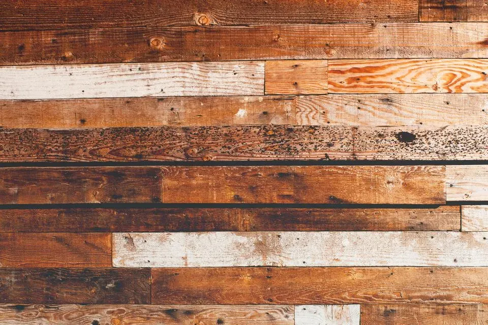 1. Shiplap Walls (Image Credits: Stocksnap)