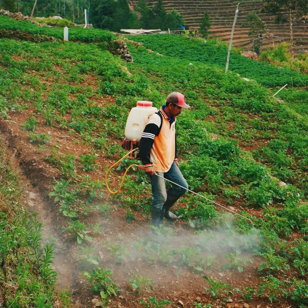 9. Pesticides and Herbicides (Image Credits: Unsplash)