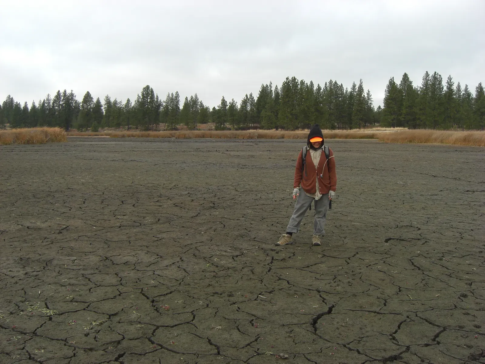 8. Washington State: Drought Declared Three Years Running (Image Credits: Wikimedia)