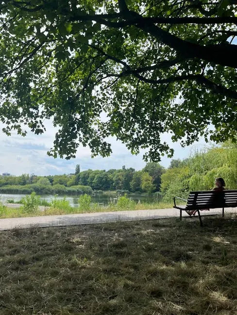 Hard Fascination vs. Soft Fascination (Image Credits: Pexels)