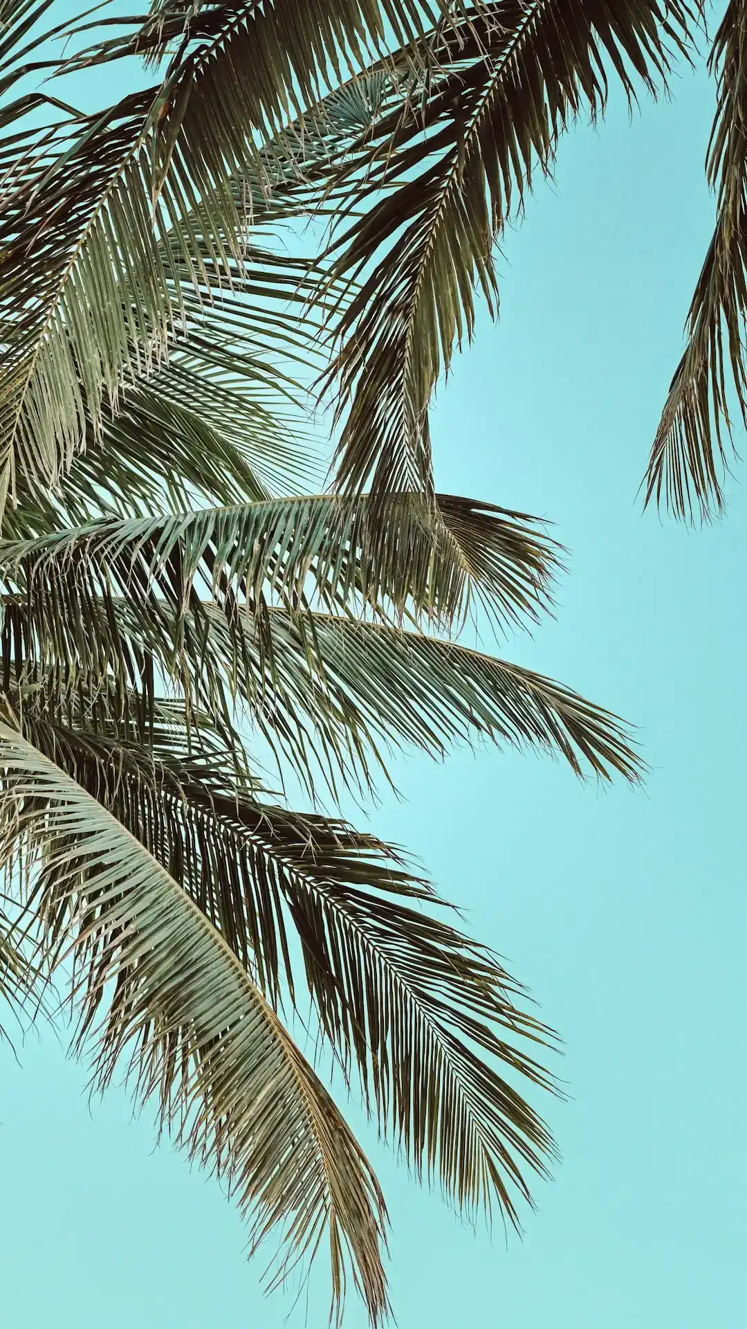 1. Palm Coast, Florida: The Quiet Frontrunner Nobody Saw Coming (Image Credits: Unsplash)