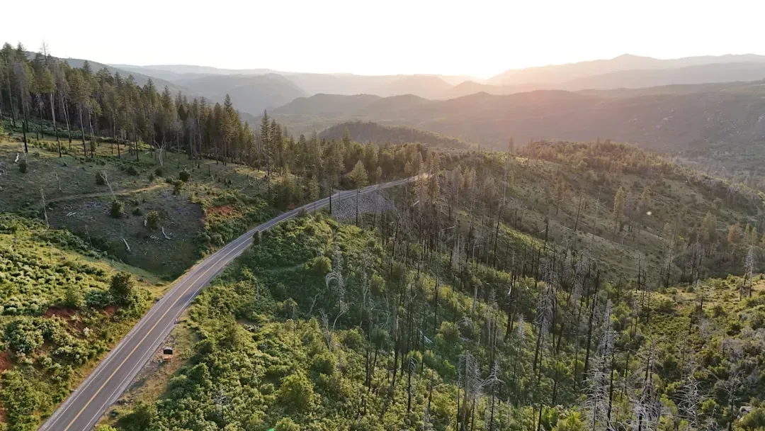 Stronger Resilience and Personal Growth (Image Credits: Unsplash)