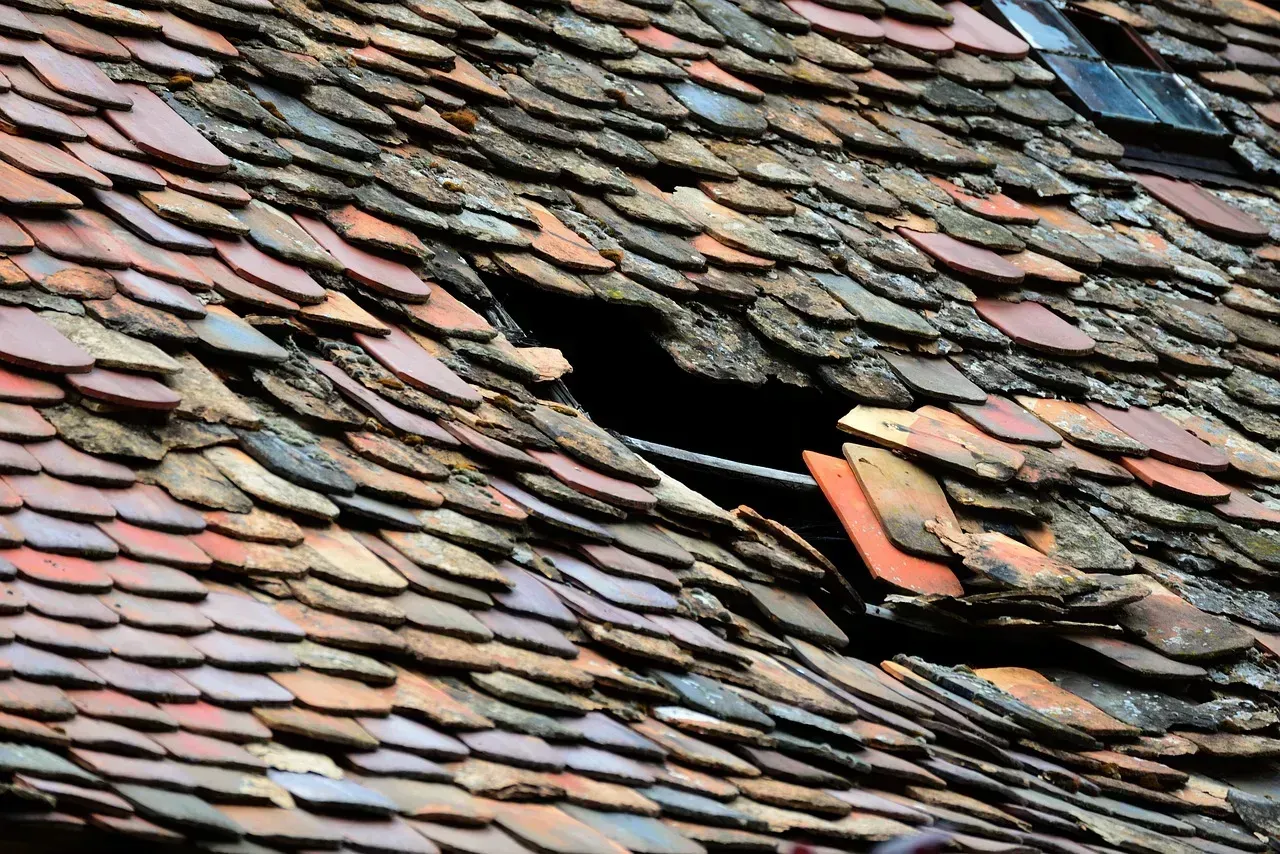 Roofs That Have Seen Better Days (Image Credits: Pixabay)