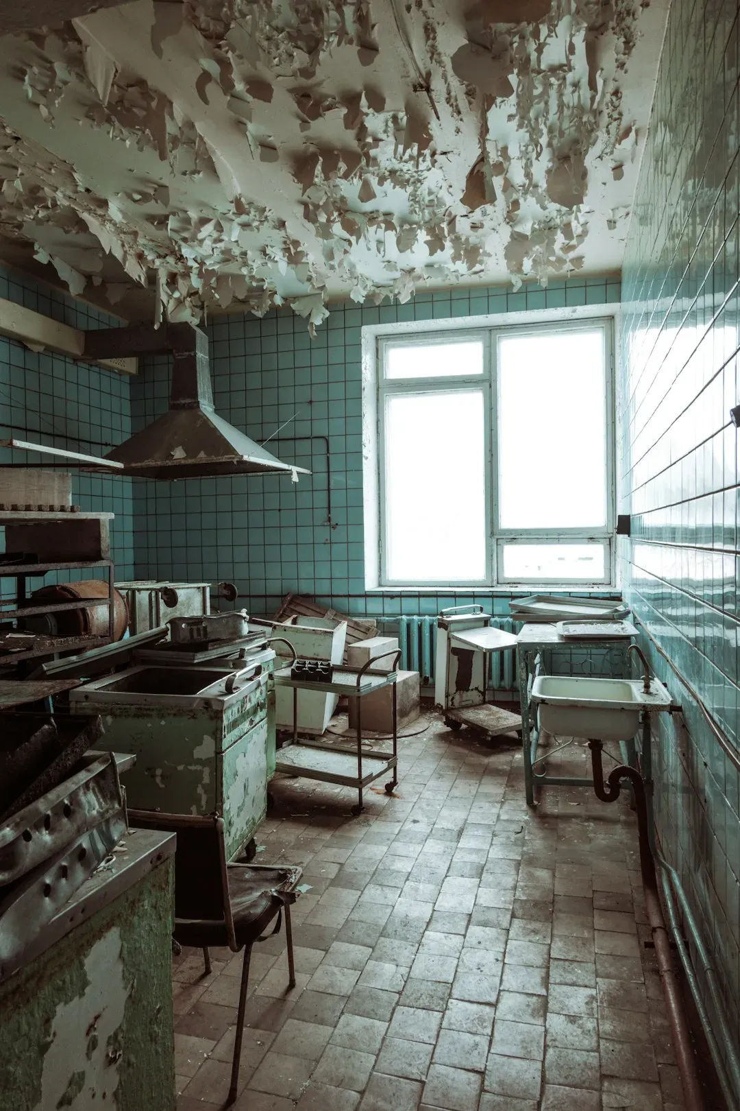 Mold Growth Signals Dangerous Indoor Air Quality (Image Credits: Unsplash)
