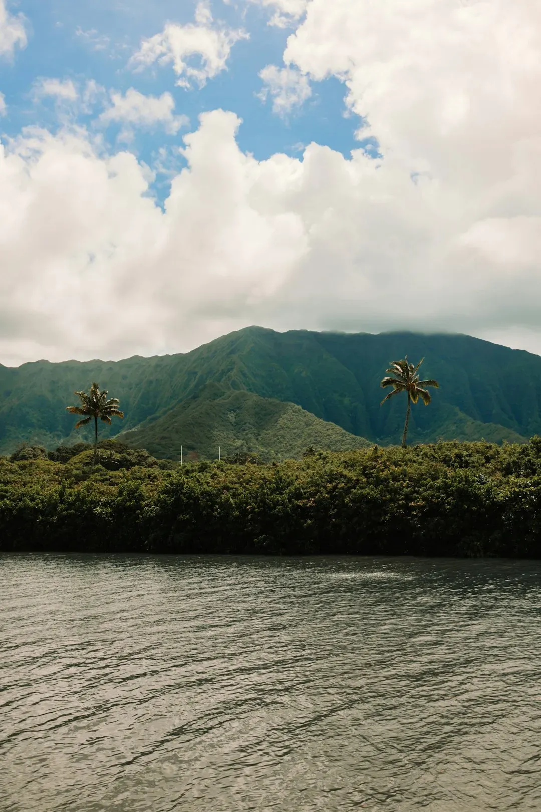 3. Pacific Island Nations: Countries That May Simply Cease to Exist (Image Credits: Unsplash)