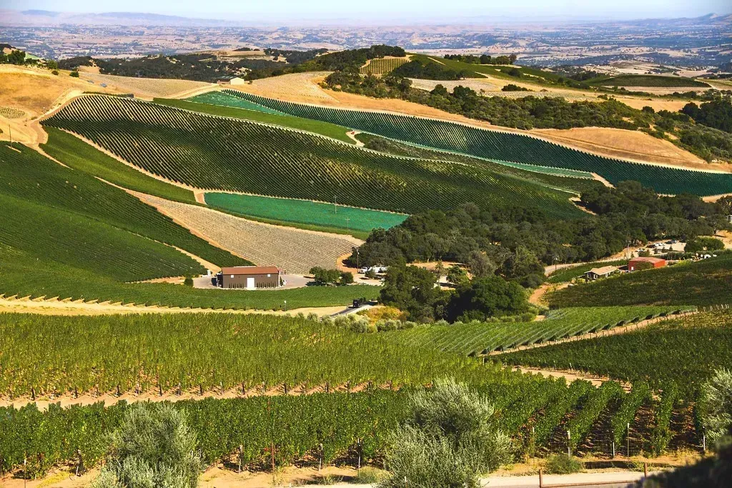 Paso Robles: Wine Country Without The Price Tag (Image Credits: Flickr)