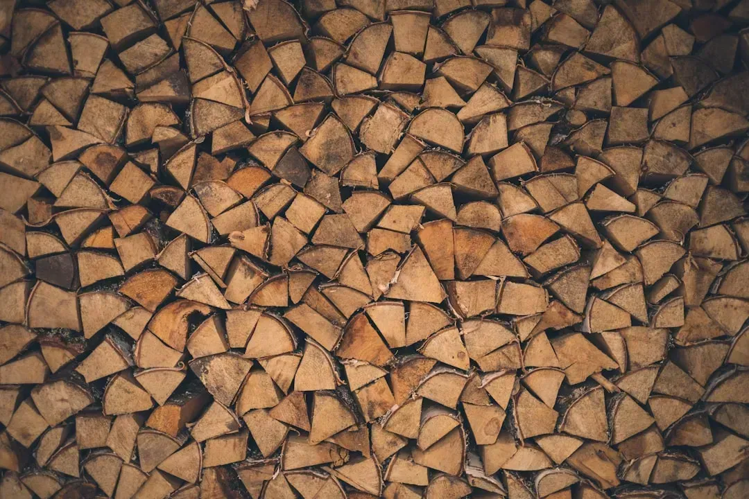 9. Treated Wood and Painted Materials (Image Credits: Unsplash)