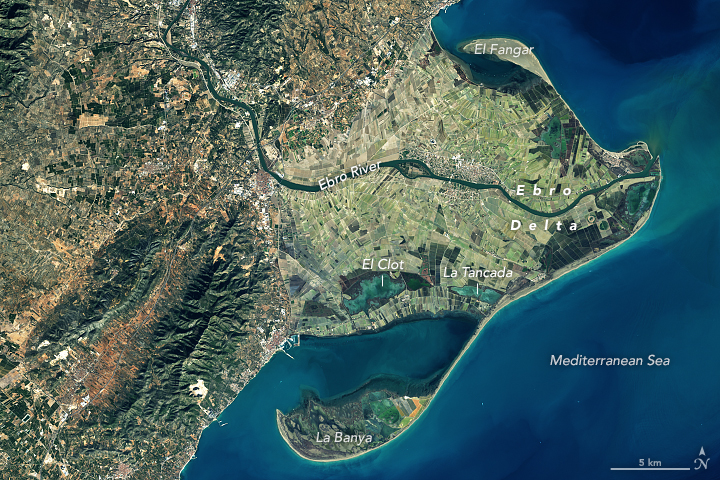 L'Ampolla: The Ebro Delta's Hidden Gem (image credits: wikimedia)