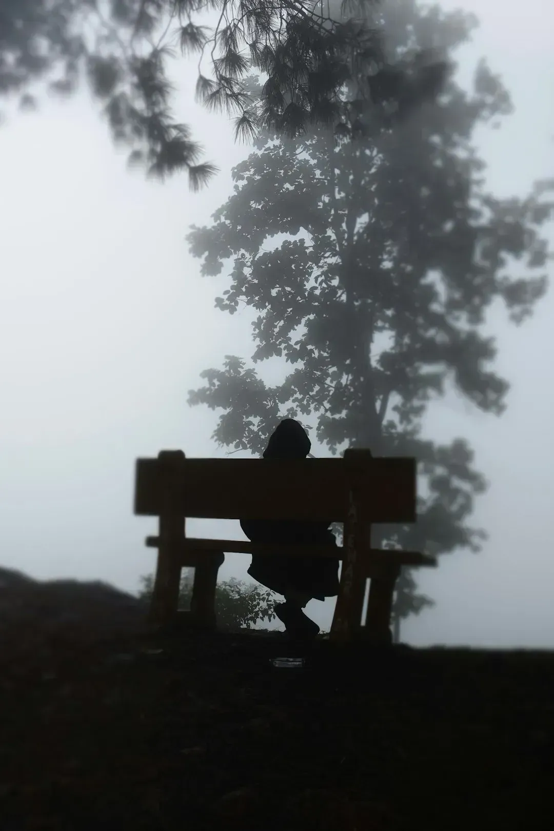 The Silent Treatment (Image Credits: Unsplash)