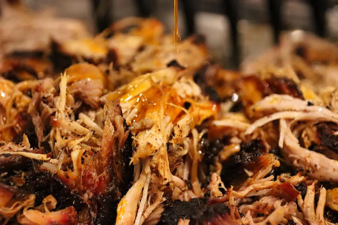 Classic pulled pork with a tangy sauce (Image Credits: Pixabay)