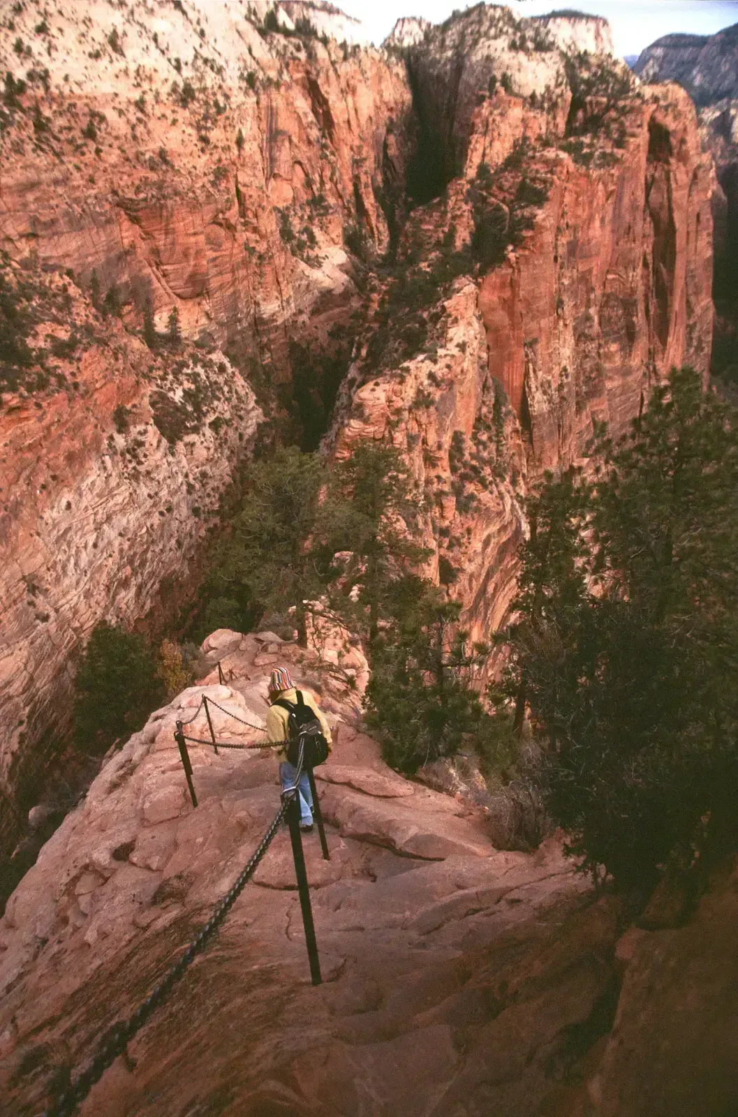 2. Angels Landing, Zion National Park, Utah (Image Credits: Wikimedia)
