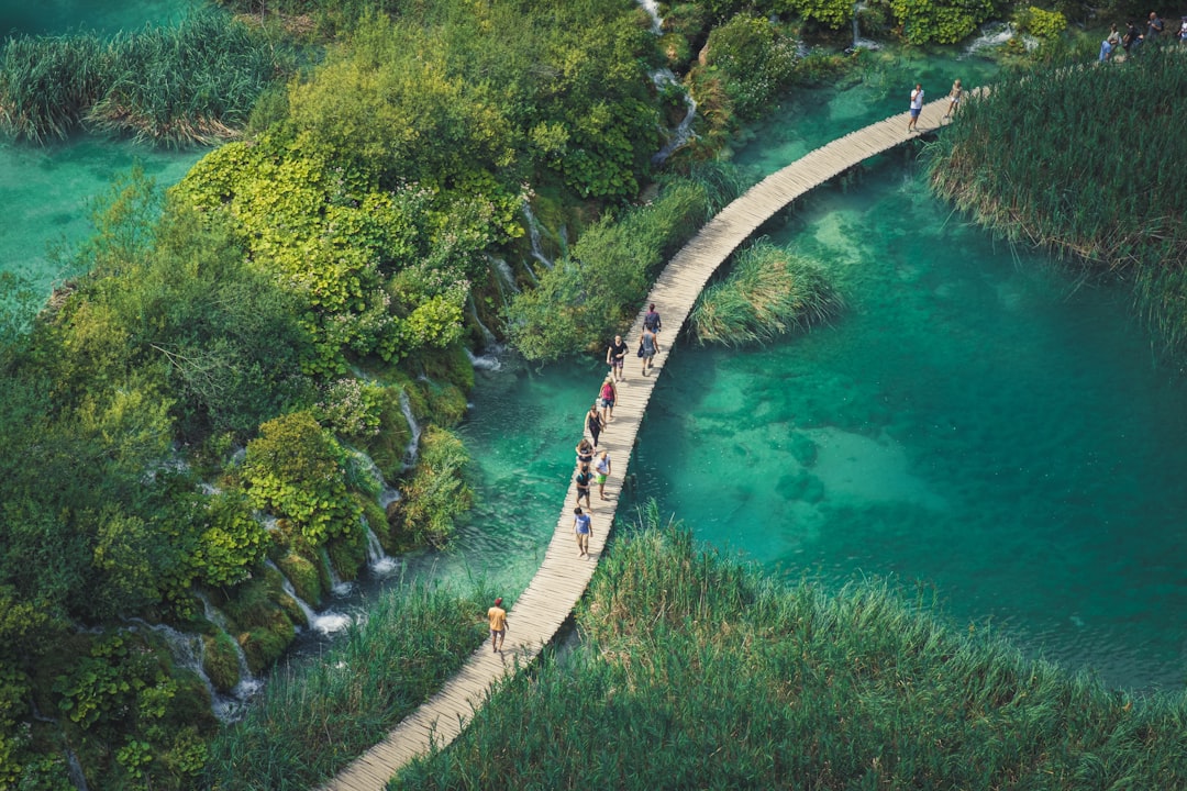The Future Belongs to Regenerative Travel (image credits: unsplash)
