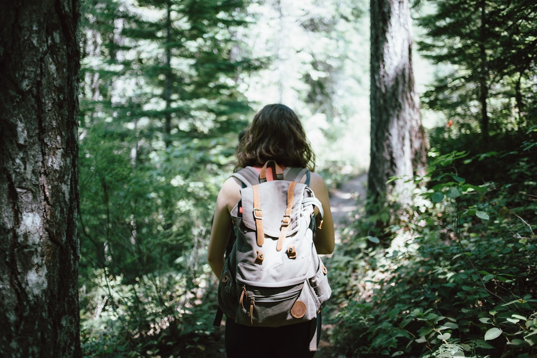Taking Regular Nature Breaks (image credits: unsplash)