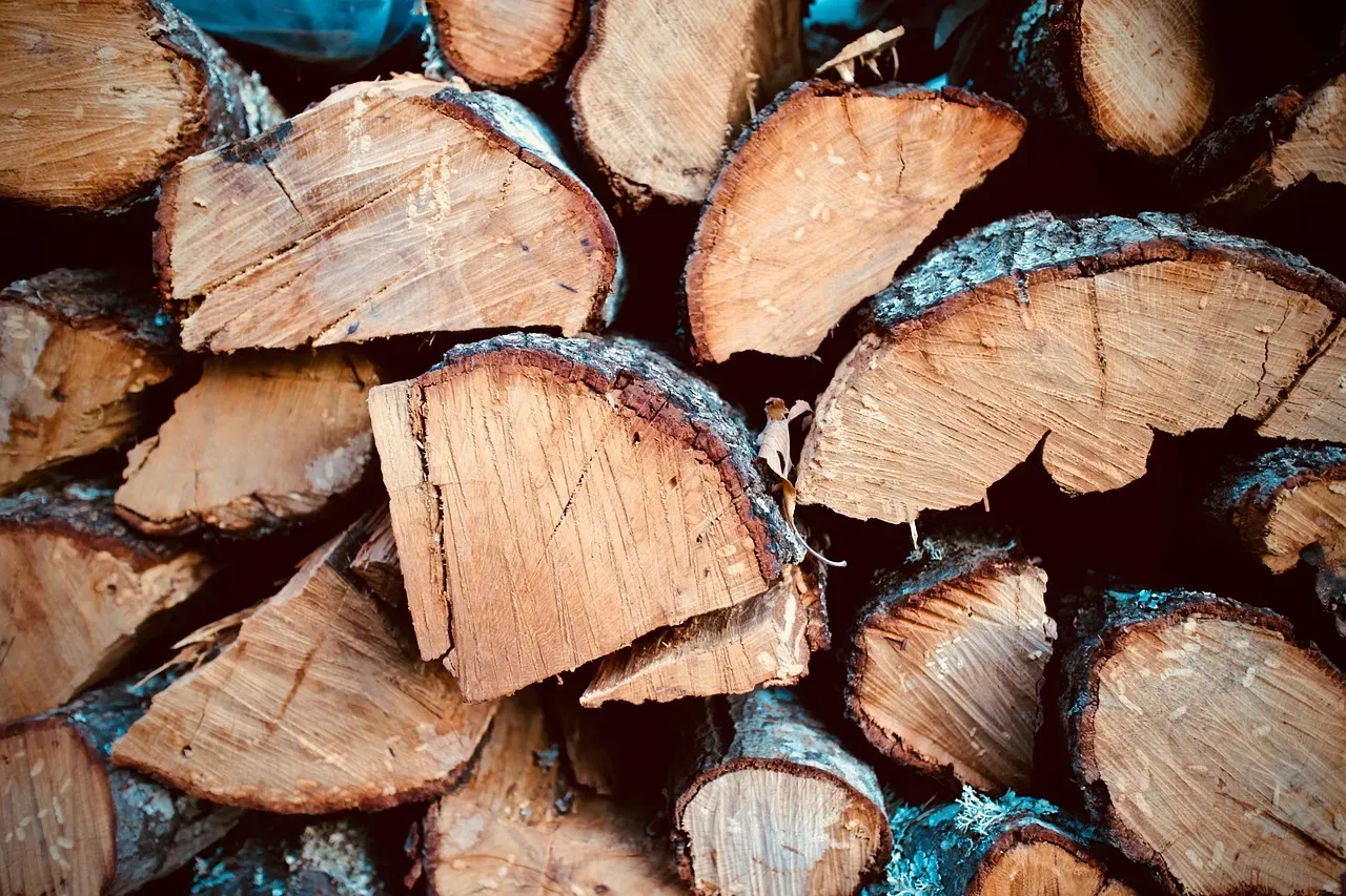 Firewood and Lumber Scraps (Image Credits: Pixabay)