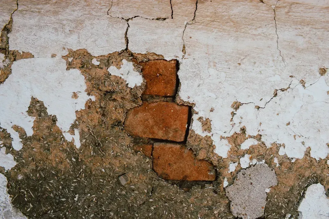 Sign #7: The True Cost Nobody Talks About (Image Credits: Unsplash)