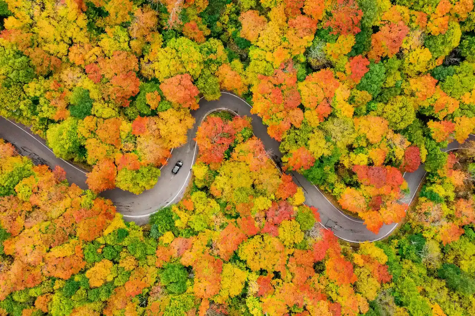 Vermont Route 100 (Smuggler's Notch Vermont Fall Foliage October 2020, CC BY 2.0)