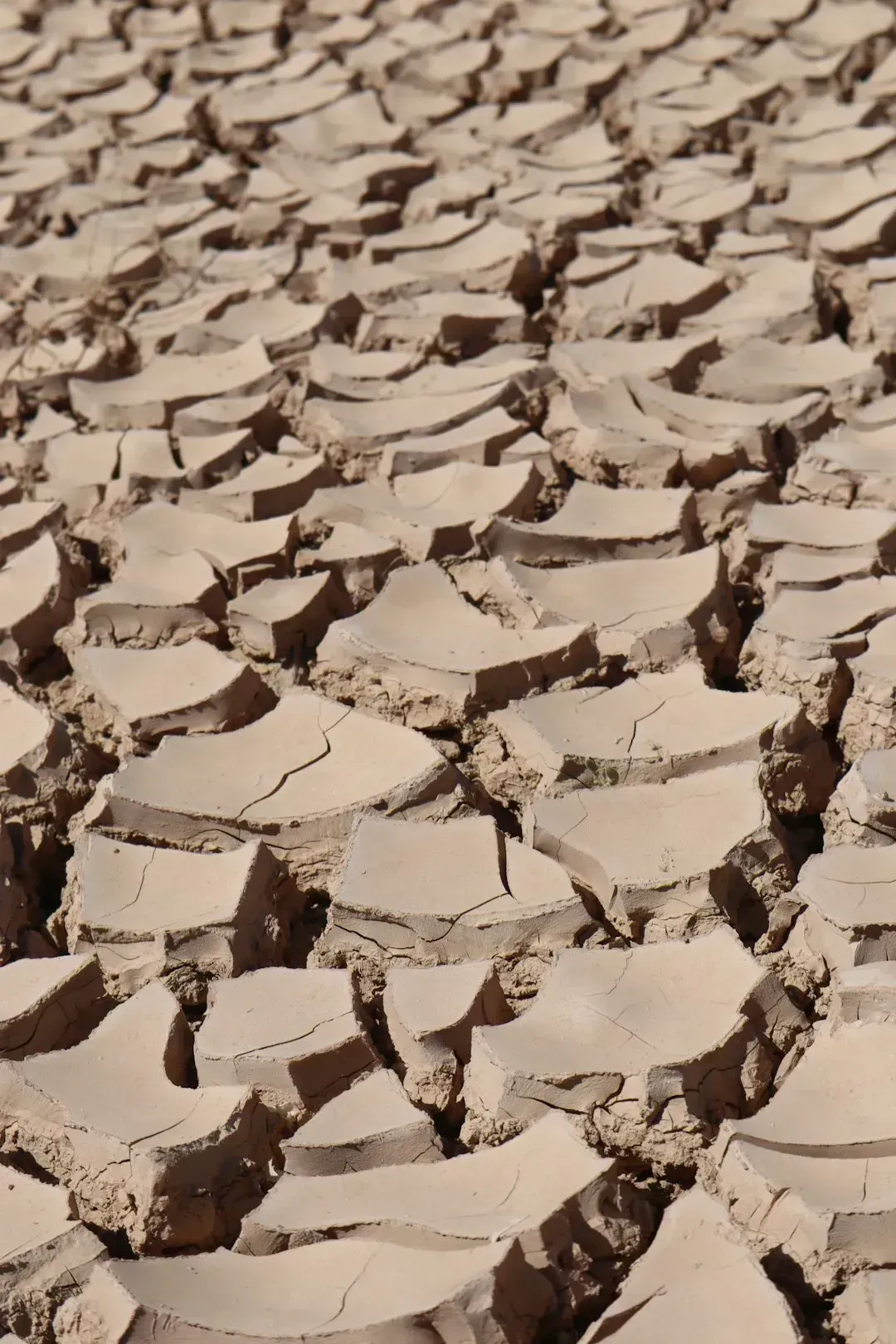 The Water Crisis Looming Nearby (Image Credits: Unsplash)
