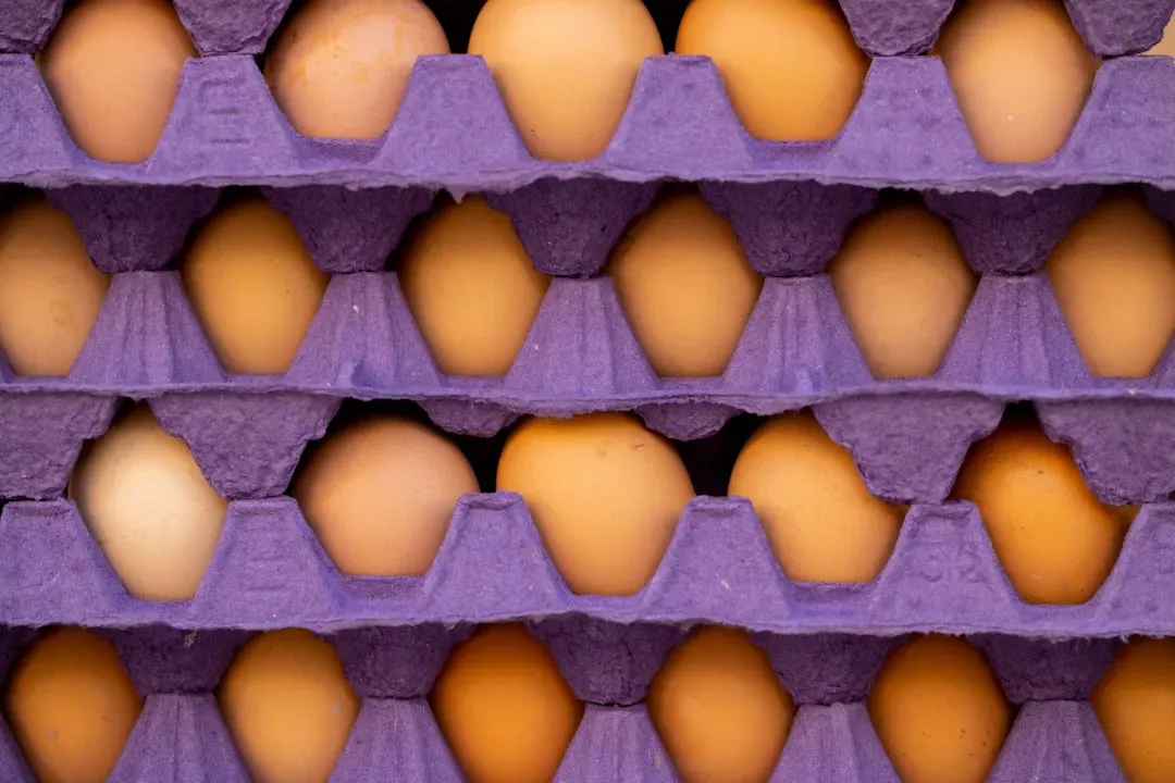 The Egg Myth Nobody Wants to Discuss (Image Credits: Unsplash)