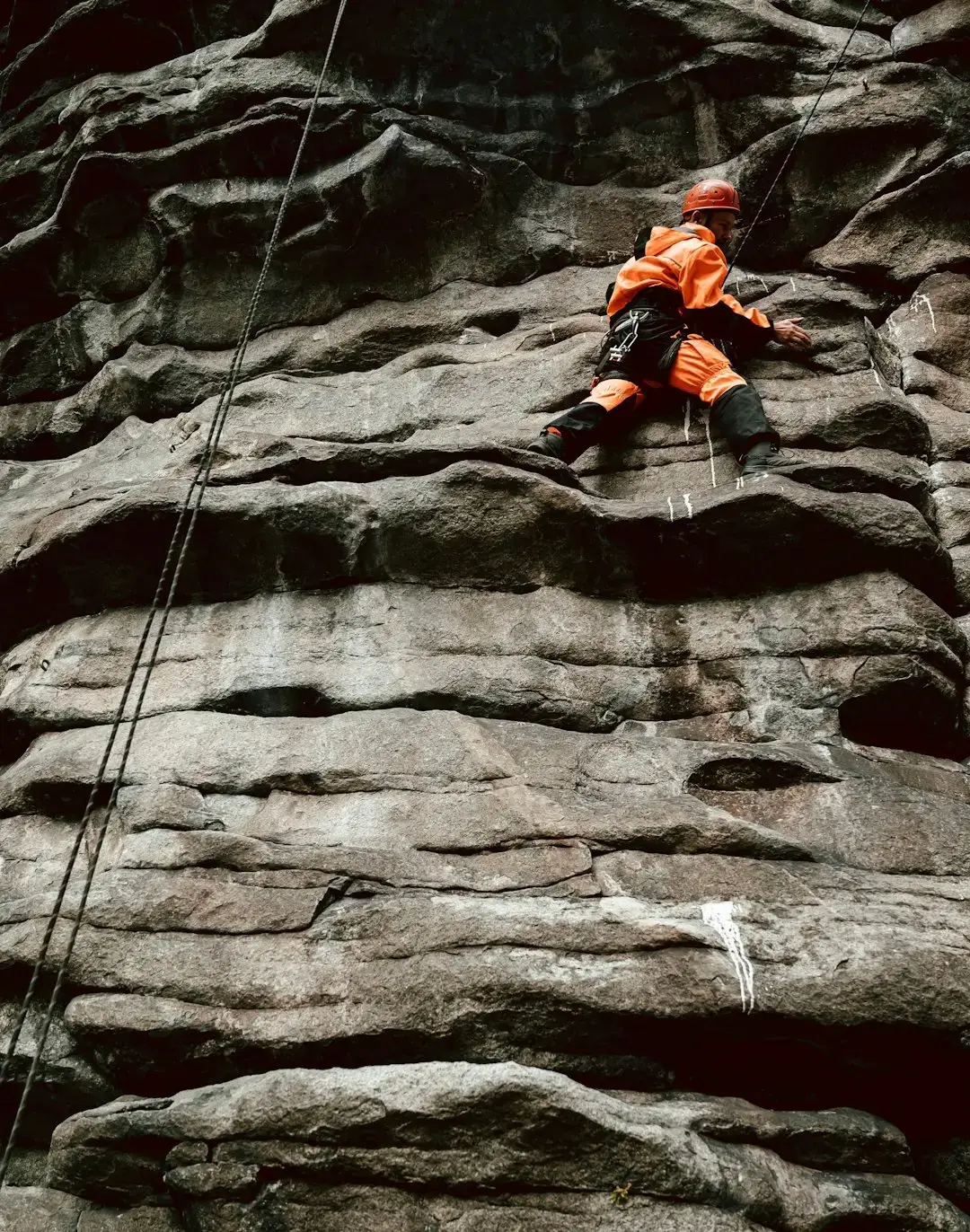 What "Purpose-Driven" Actually Means (Image Credits: Unsplash)