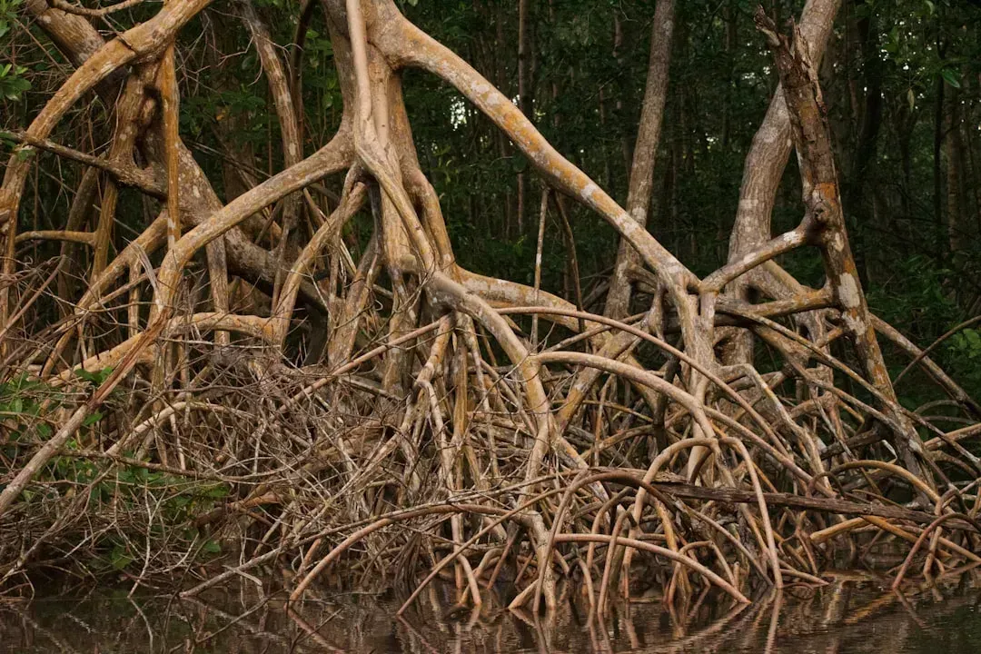 Environmental Destruction You Can See (Image Credits: Unsplash)