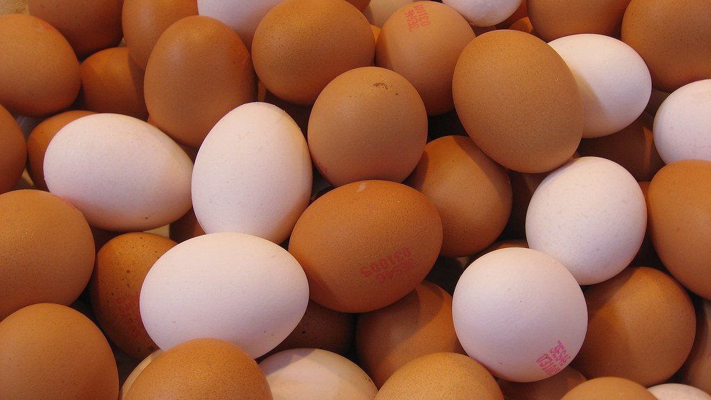 Eggs (Image Credits: Flickr)