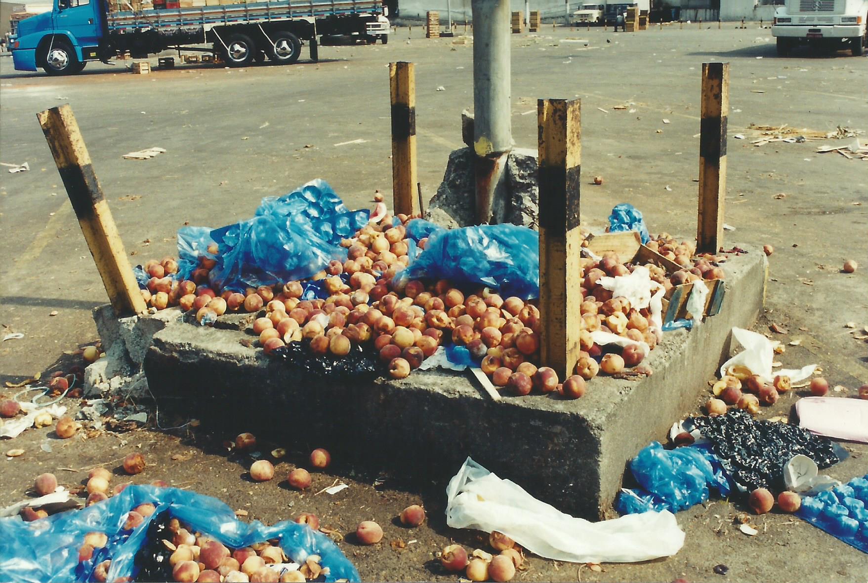 Brazil's Supply Chain Challenges (Image Credits: Wikimedia)