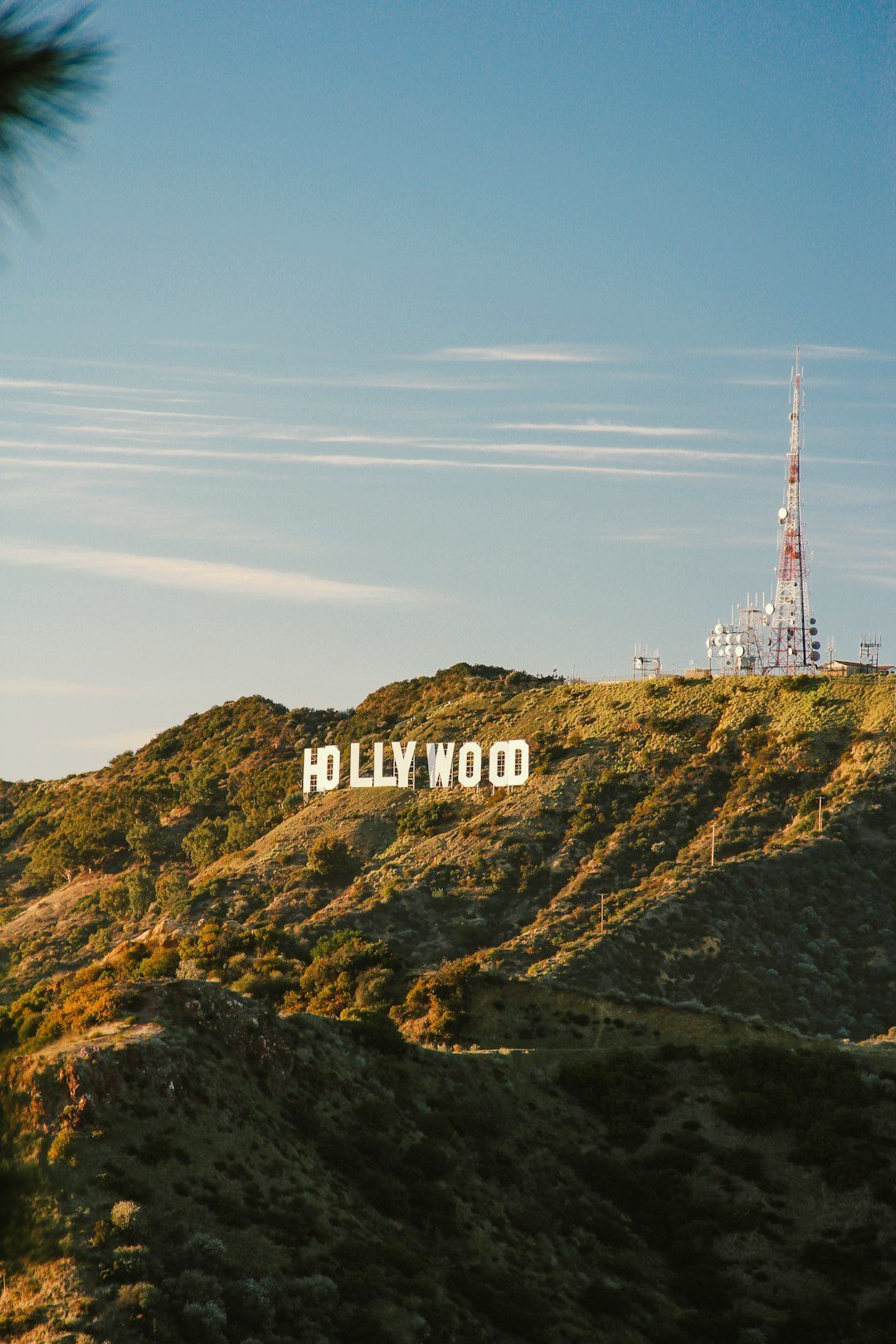 Why Accent Mastery Has Become Hollywood's Secret Weapon (Image Credits: Unsplash)