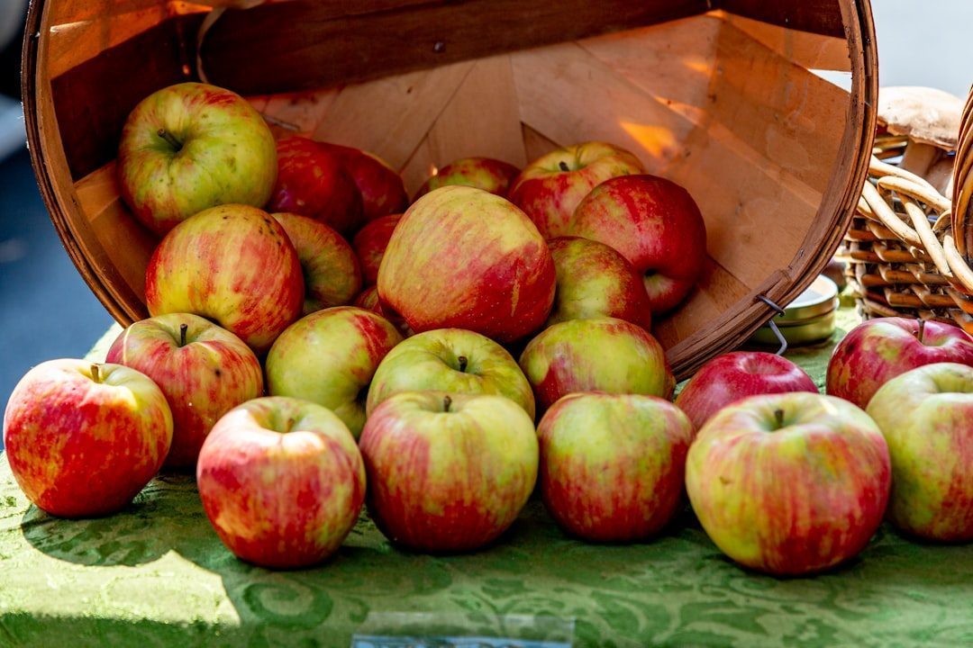 Apples: The Fiber-Friendly Favorites (Image Credits: Unsplash)