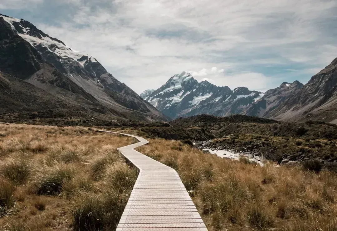 1. New Zealand: The Undisputed Champion (Image Credits: Unsplash)