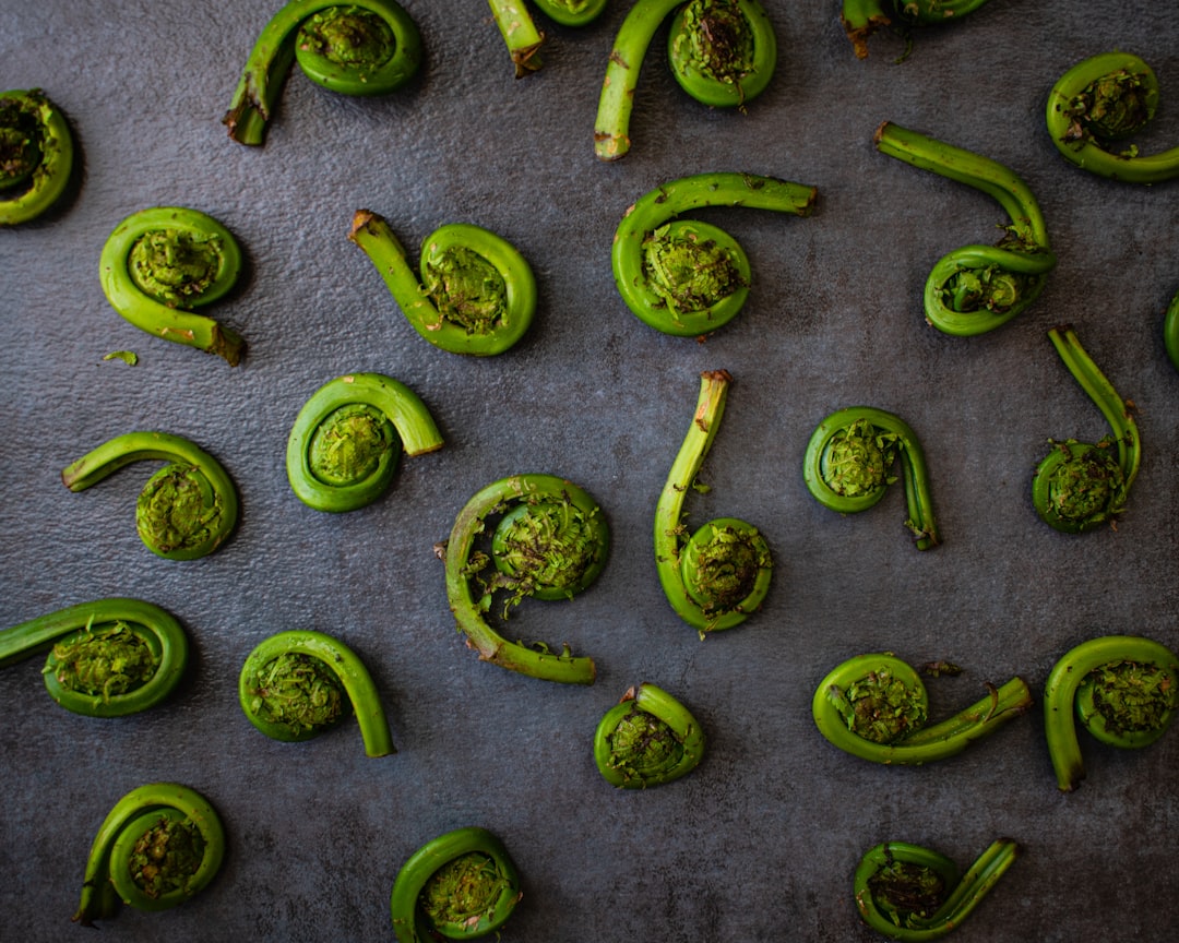 Fiddleheads from Maine (image credits: unsplash)
