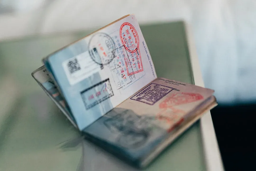 Skipping the Fine Print on Passports and Visas (Image Credits: Unsplash)