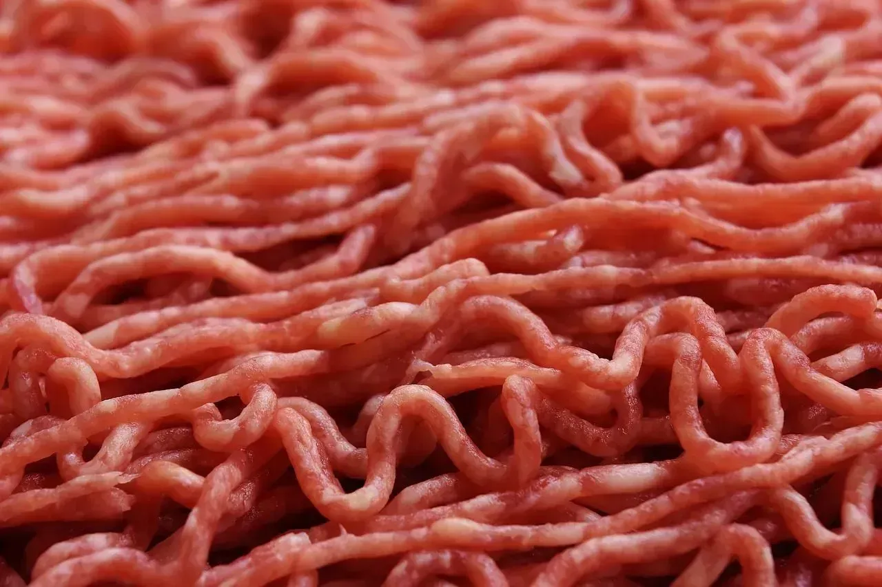 Ground Beef with Pink Slime (Image Credits: Pixabay)