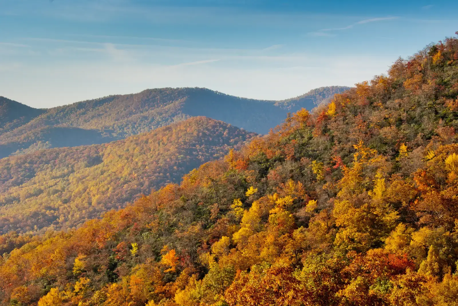 Blue Ridge Parkway, Virginia and North Carolina (By Fran Trudeau, CC BY 2.0)