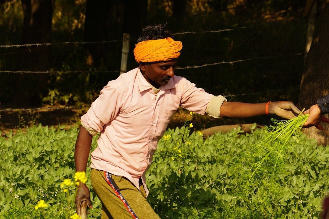 India Emerges as a Diverse Agricultural Exporter (Image Credits: Unsplash)