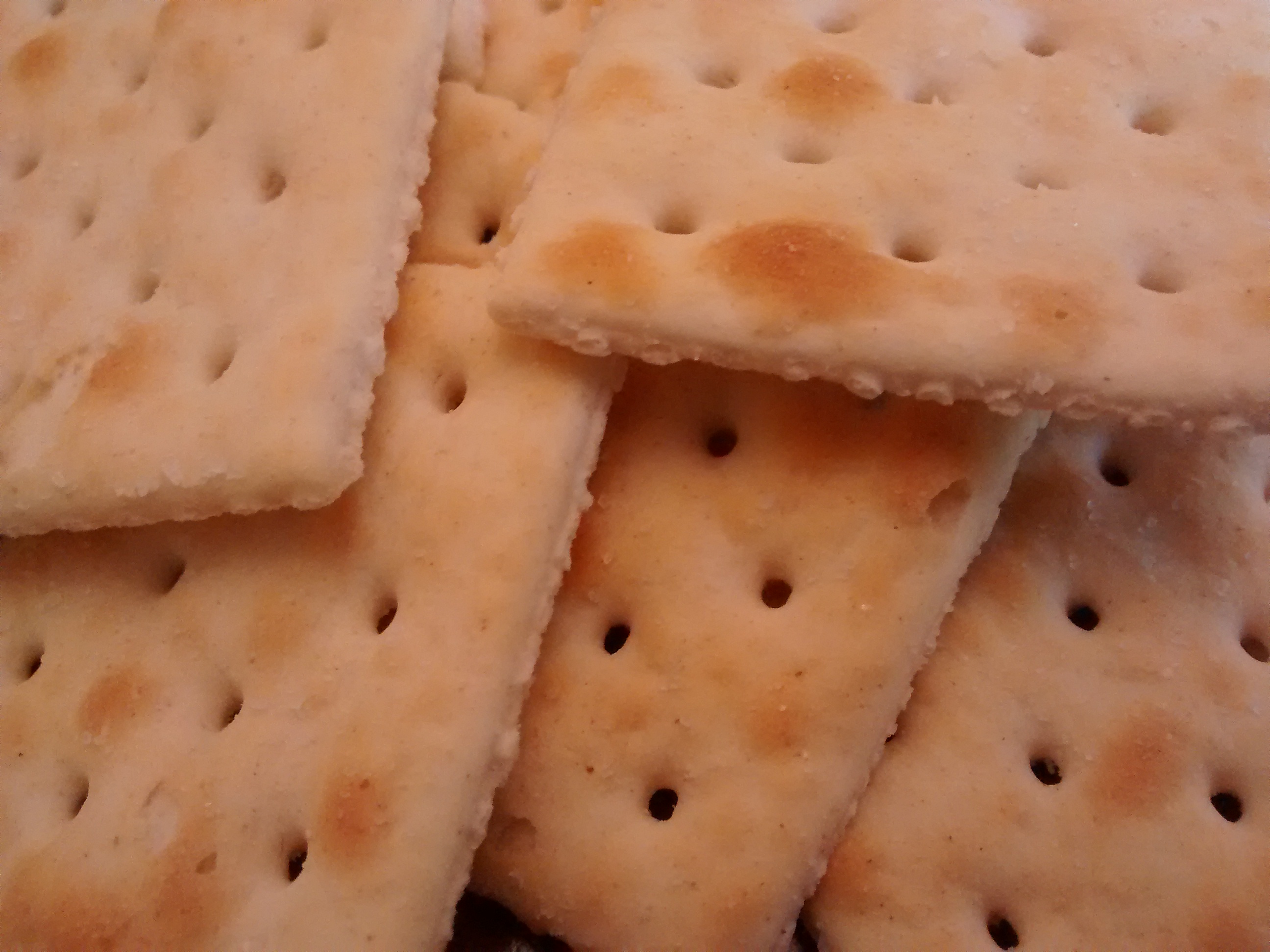 Salted Crackers: The Perfect Palate Cleanser (image credits: wikimedia)