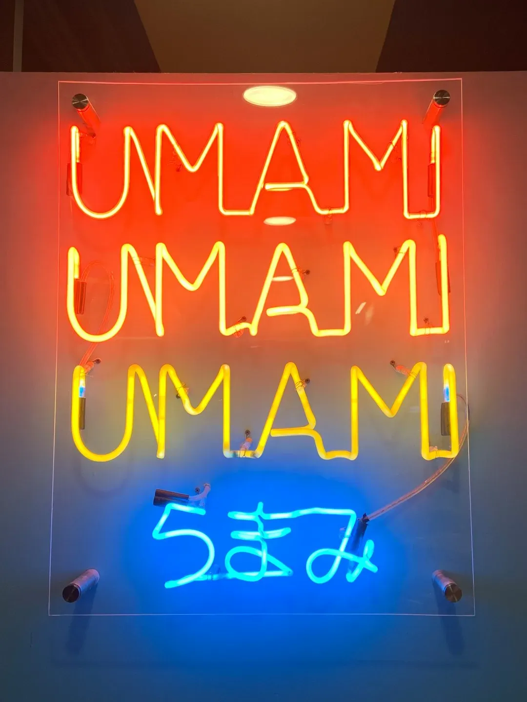 Umami: The Quiet Force Behind Depth (Image Credits: Unsplash)