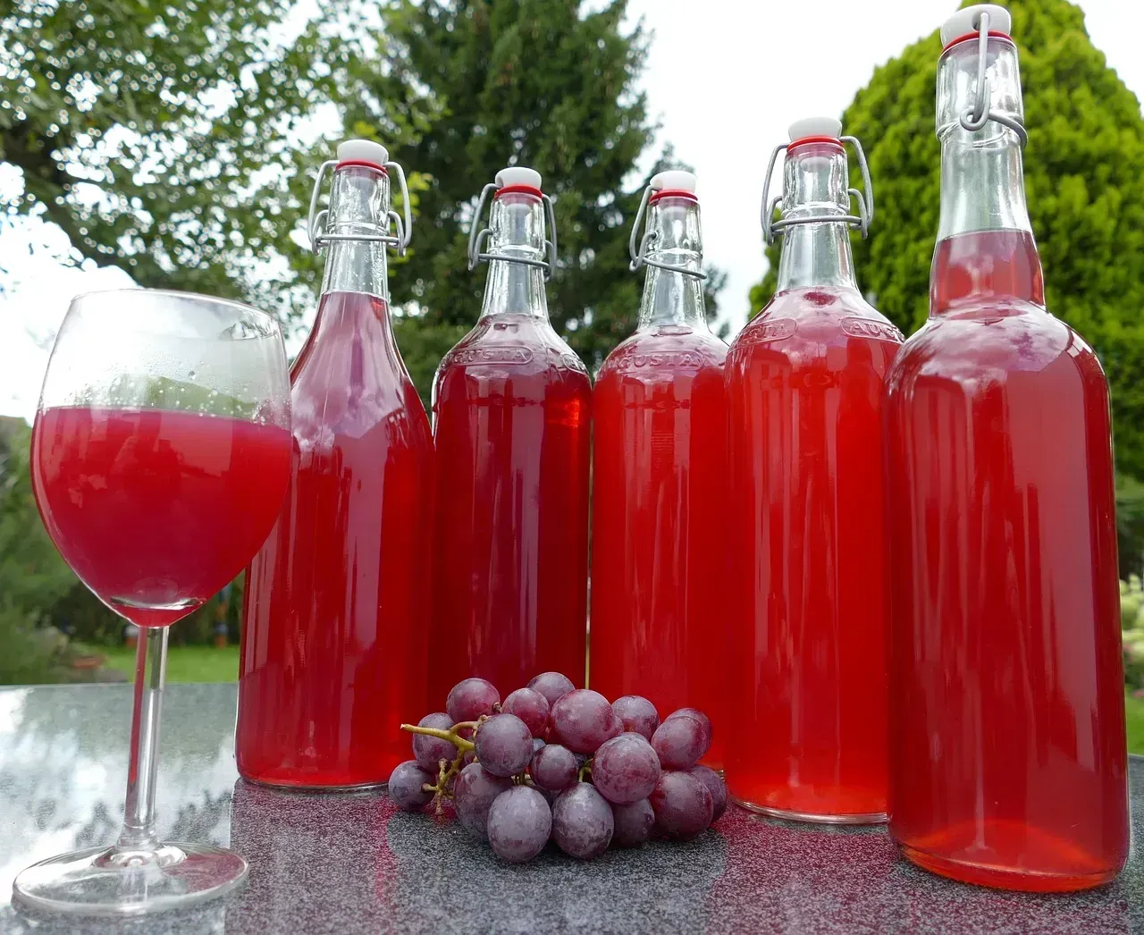 The Wine Brick Revolution That Fooled Nobody (Image Credits: Pixabay)