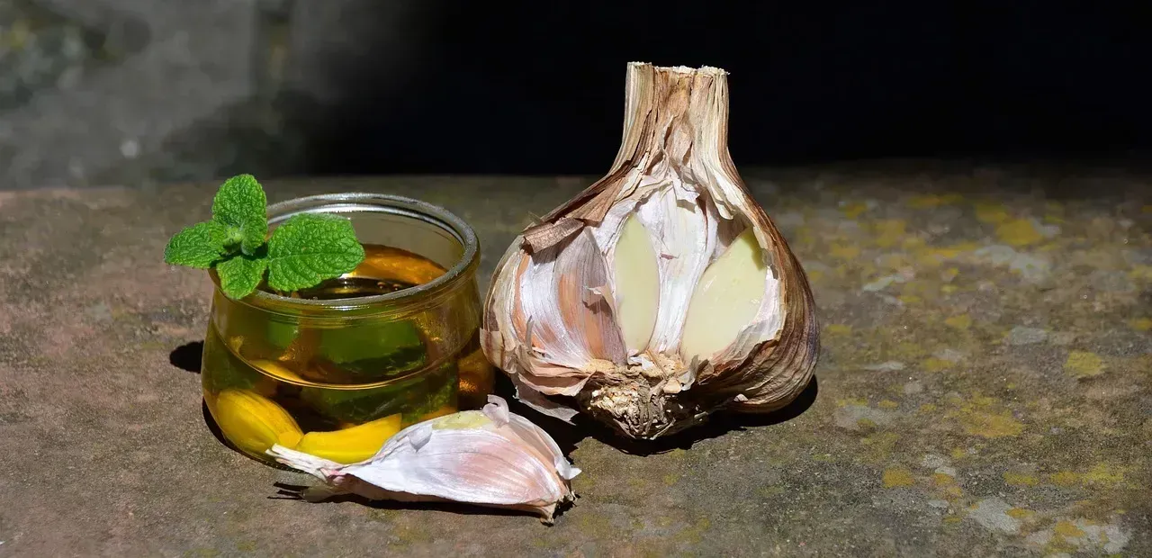 6. Garlic-Infused Oils - The Botulism Danger Hiding in Your Pantry (Image Credits: Pixabay)