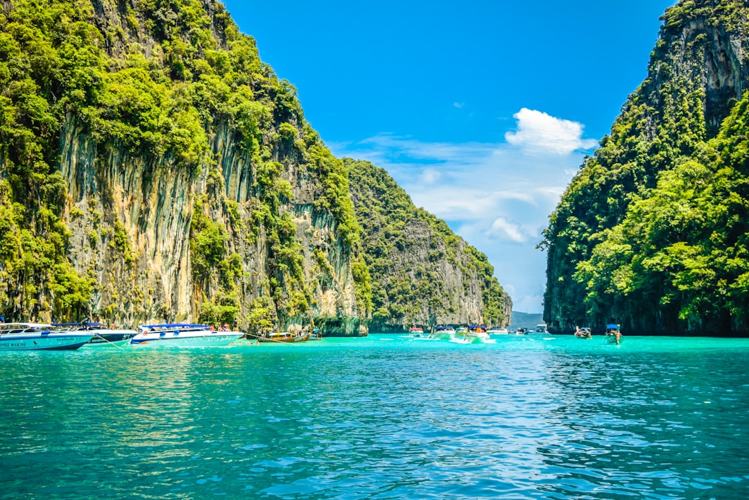Maya Bay: Hollywood's Environmental Disaster (image credits: unsplash)