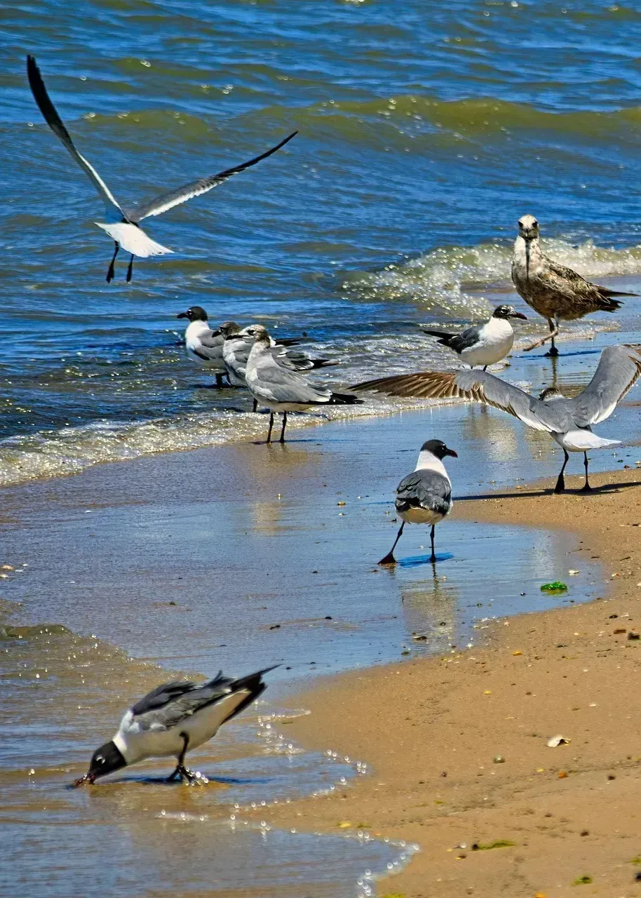 Delaware: Tax Benefits That Can't Be Ignored (Image Credits: Pixabay)