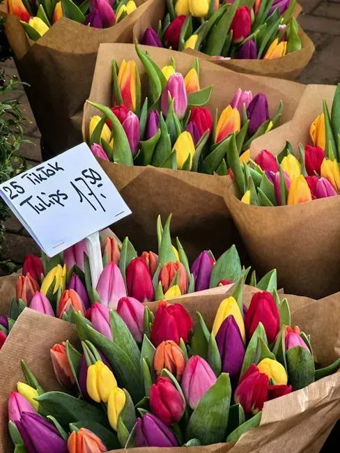 6. More Affordable Prices Compared to Peak Summer Season (Image Credits: Pexels)