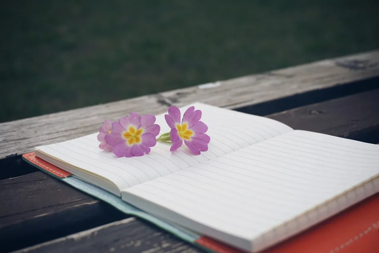 Final thoughts (Image Credits: Pixabay)