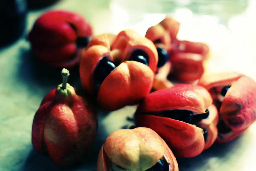 Ackee Fruit: Jamaica's Dangerous Delicacy (Image Credits: Flickr)