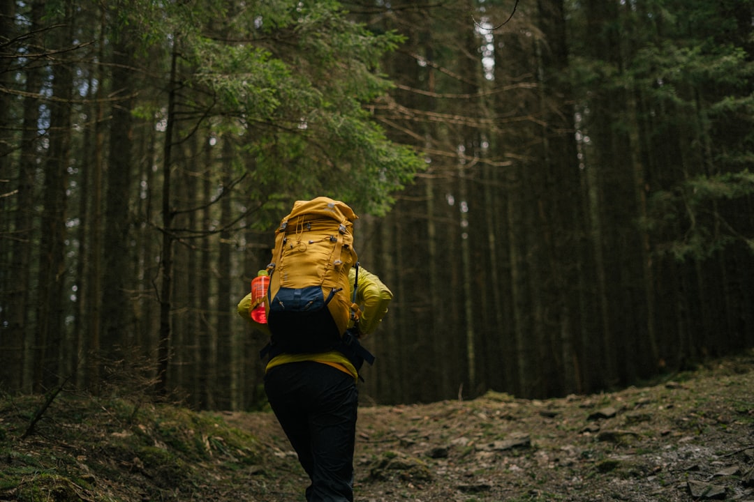 Nature's Powerful Medicine Cabinet (image credits: unsplash)