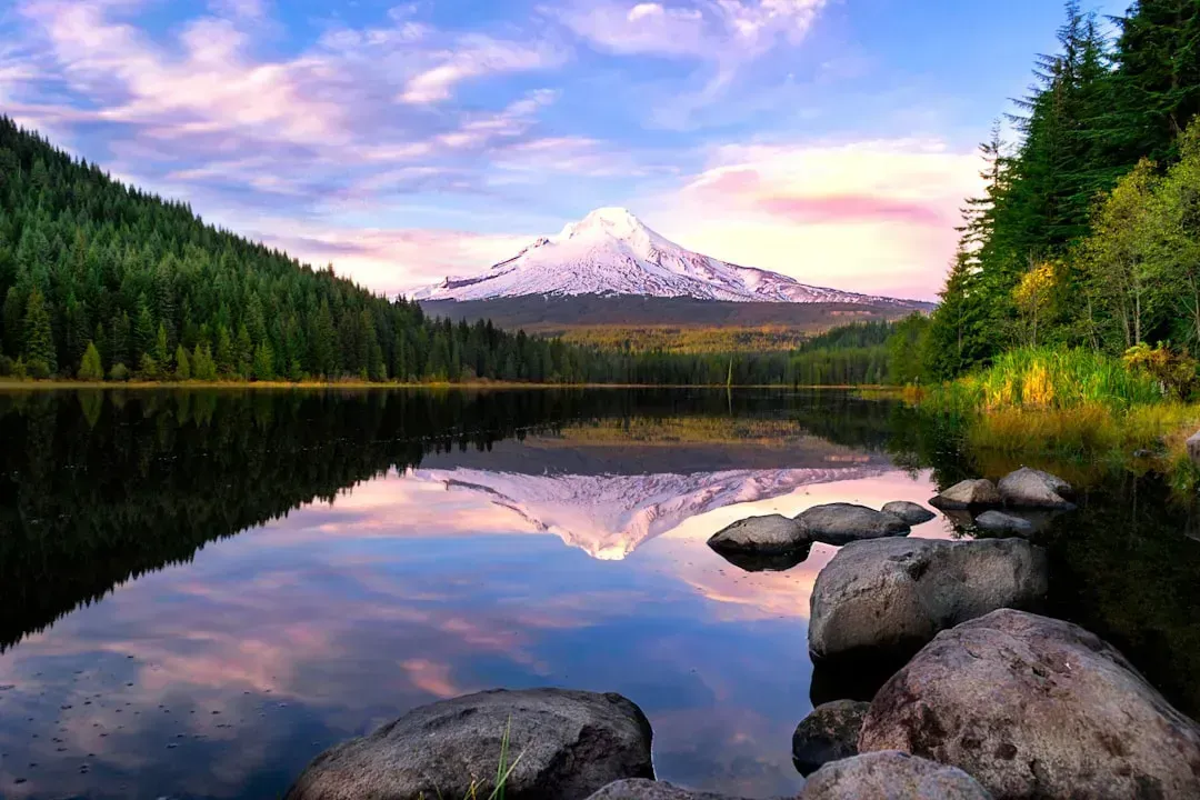 Oregon: Progressive Politics, Progressive Costs (Image Credits: Unsplash)
