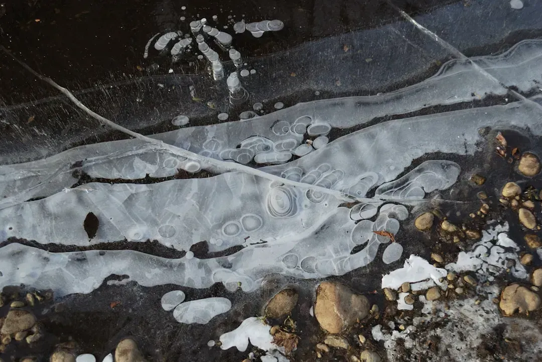 1. Used Motor Oil (Image Credits: Unsplash)