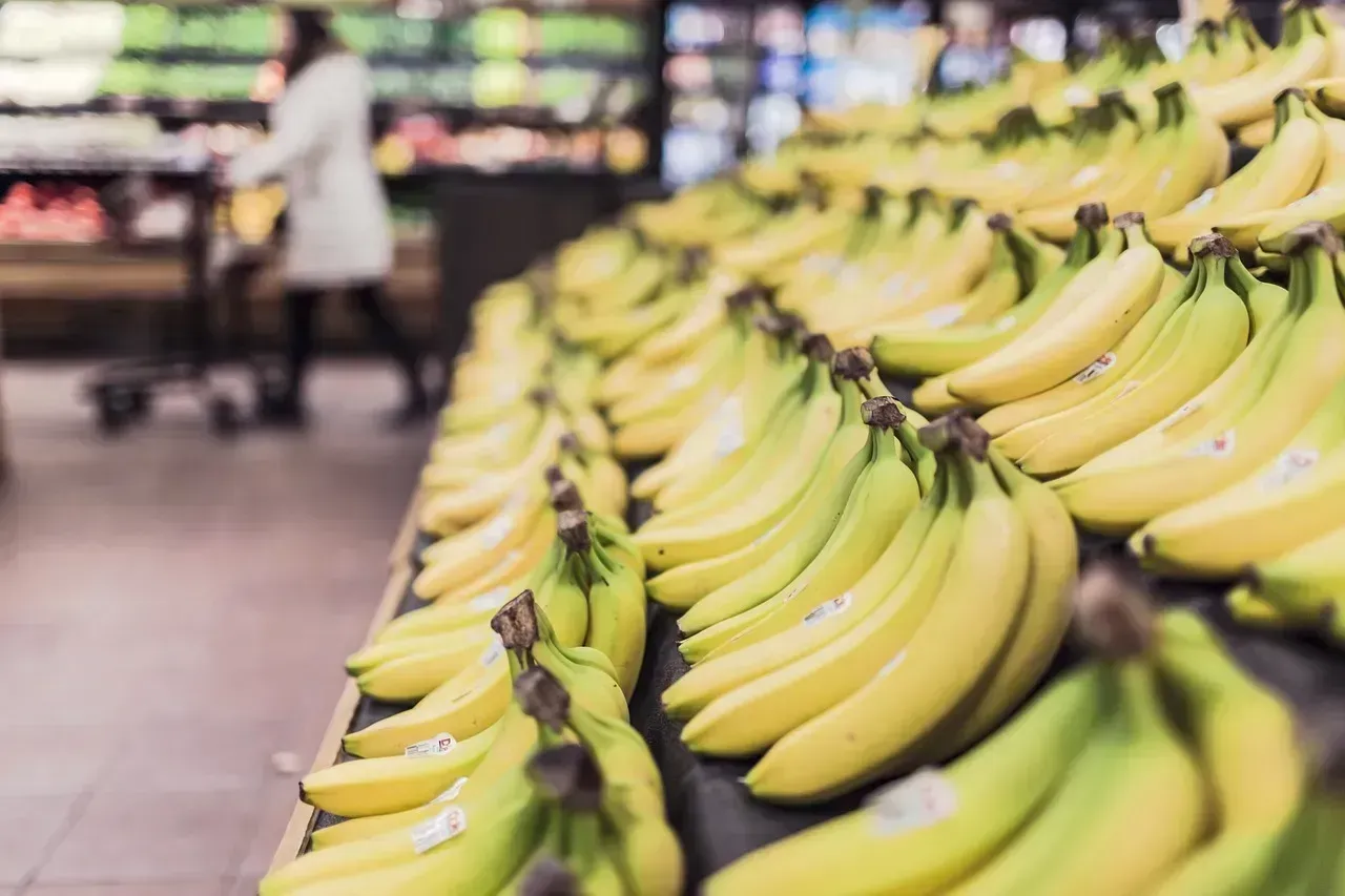 Shopping Too Long Makes Your Brain Stop Thinking Rationally (Image Credits: Pixabay)
