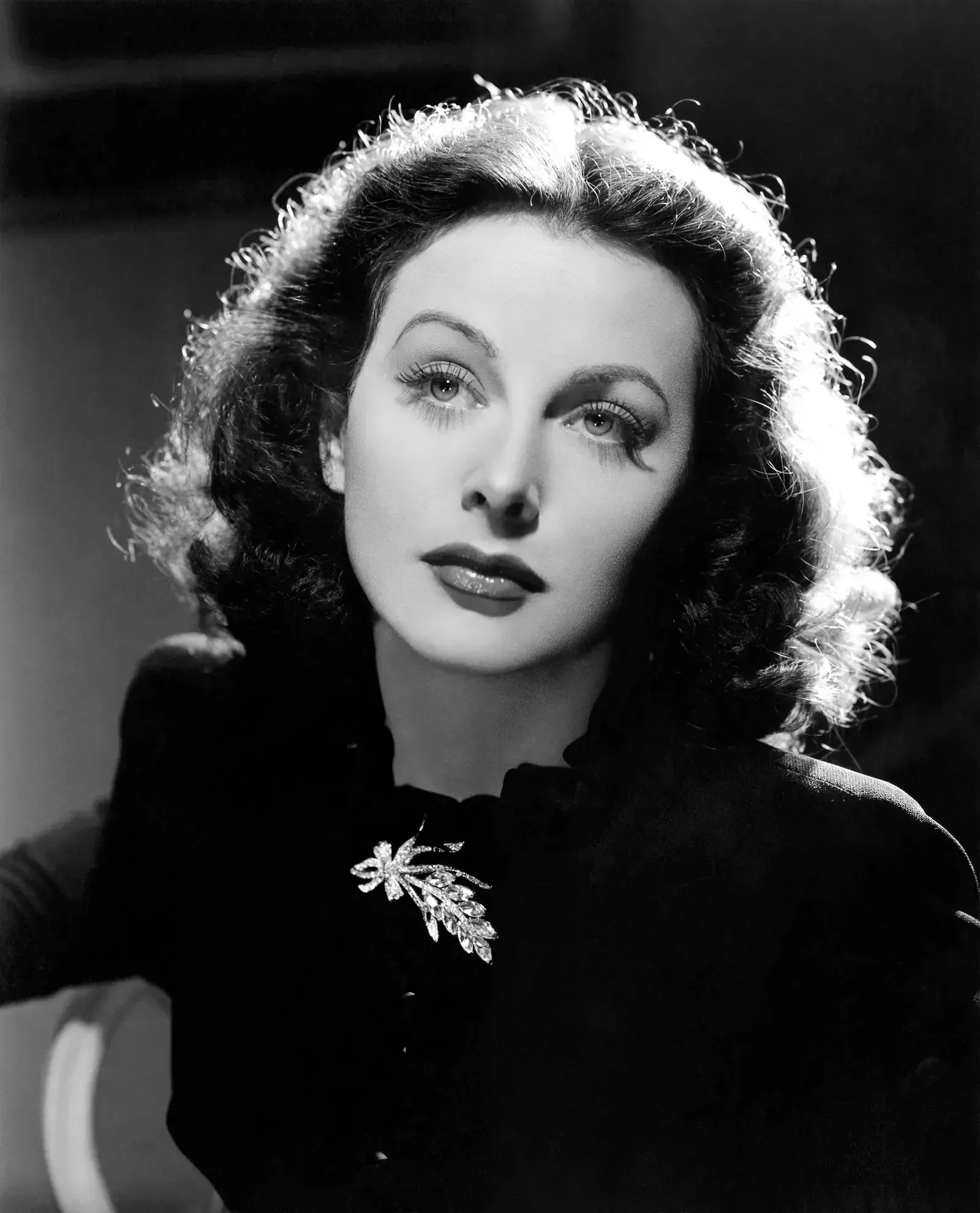 5. Hedy Lamarr - The Hollywood Star Who Invented the Basis of Wi-Fi (Image Credits: Wikimedia)